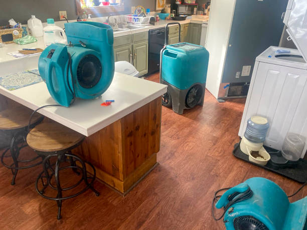 Best Carpet water damage restoration  in Black River Falls, WI