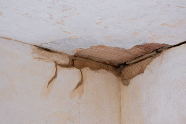 Best Local water damage restoration  in Black River Falls, WI