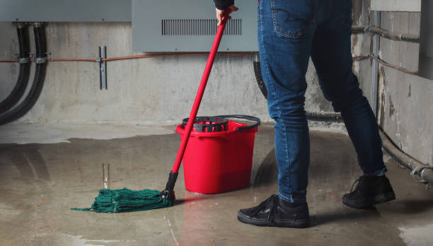 Best 24-hour water damage restoration  in Black River Falls, WI