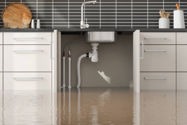 Best Emergency water damage restoration  in Black River Falls, WI